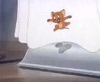 Fraidy Cat