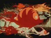 Our Funny Finny Friends