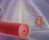 The Yankee Doodle Mouse